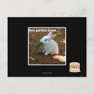 Ein Garten � Postkarte