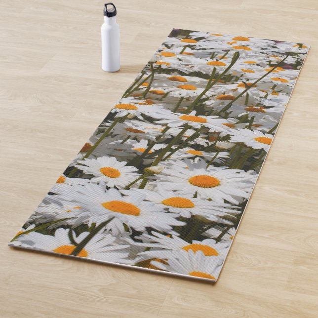 Ein Gebiet der Oxeye Daisies Yogamatte (Beispiel)