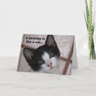Ein Geburtstag ist wie eine Katze... Karte