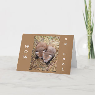 EIN "GEBURTSTAG" MIT "DIR" ZU TEILEN IST "SO COOL" KARTE