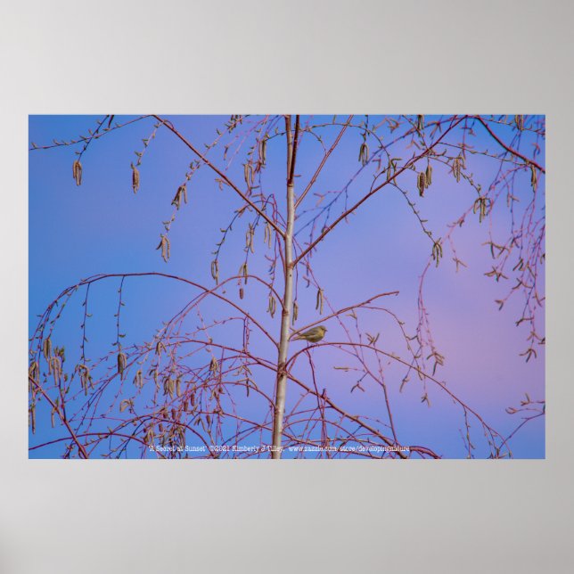 Ein Geheimnis bei Sonnenuntergang Poster (Vorne)