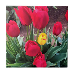 Ein Gelb mit roten Tulissen Fliese