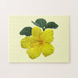 Ein gelber Hibiskus