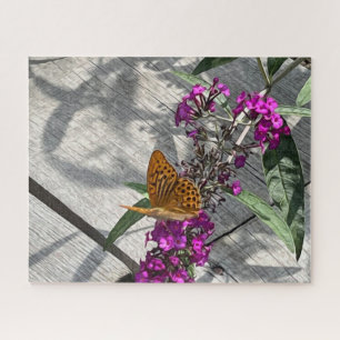Ein gelber Schmetterling