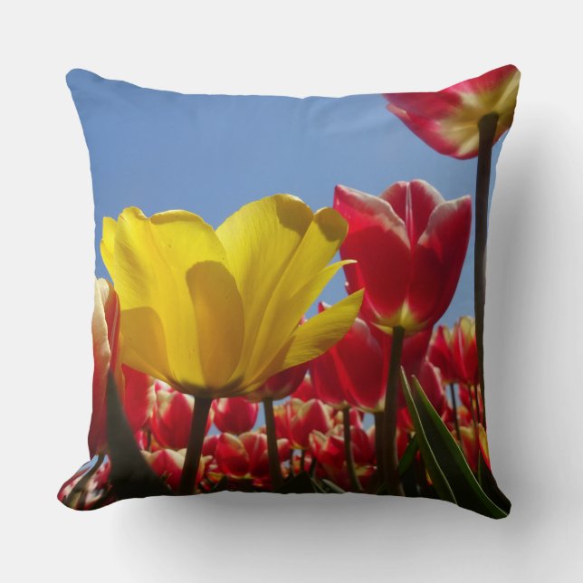 Ein gelber Tulip in rotem Tulips-Feldwirbel Kissen (Vorderseite)