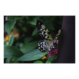 Ein gelbes Schmetterling auf rosa Blume Fotodruck