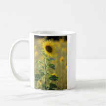 Ein gelbes Sonnenblumenfoto