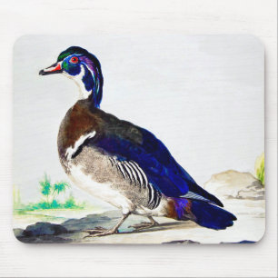Ein Gemälde einer Ente von Aert Schouman Mousepad
