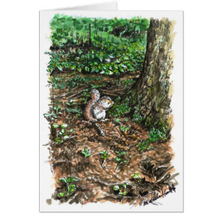 Ein geschäftiges Eichhörnchen