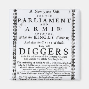 Ein Geschenk des neuen Jahres Magnet