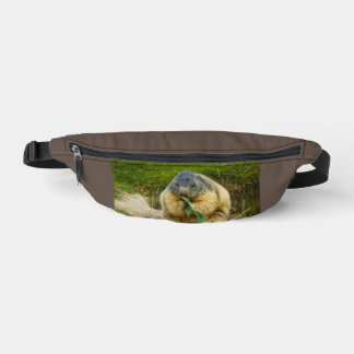 Ein geselliges Murmeltier auf einem Fannenpack Bauchtasche