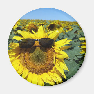 Ein Gesicht in der Menge Magnet