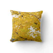 ein Ginkgo-Baum, der den Herbst umfasst
