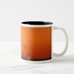 Ein Giraffenpaar geht in den Sonnenuntergang, in Zweifarbige Tasse