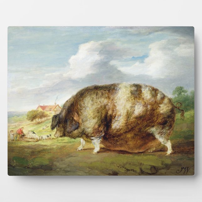 Ein Gloucestershire Old Spot (Öl auf Tafel) Fotoplatte (Vorderseite)