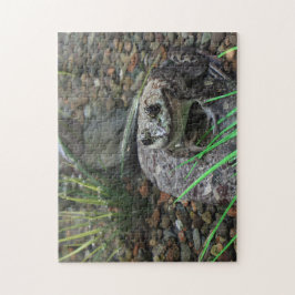 Ein glücklicher Frosch
