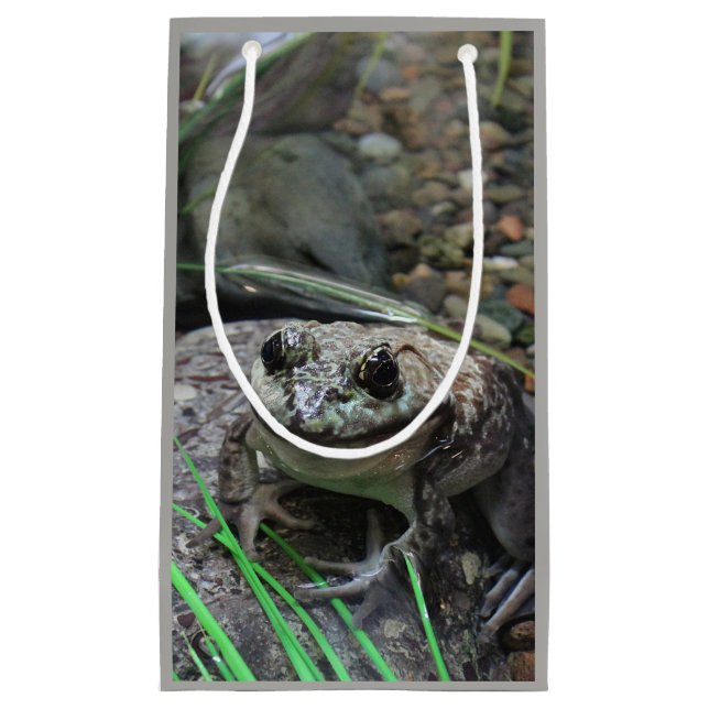 Ein glücklicher Frosch Kleine Geschenktüte (Vorderseite)