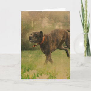 Ein glücklicher Hund-jeden Anlaß Karte