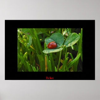 Ein glücklicher St. Patricks Day Poster