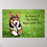 Ein glücklicher und energiegeladener Welsh Corgi W