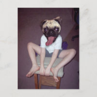 Ein glückliches Kind mit Mops.