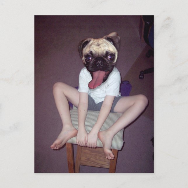 Ein glückliches Kind mit Mops. Postkarte (Vorderseite)