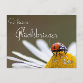 Ein Glücksbringer für Dich mit Marienkäfer Postkarte