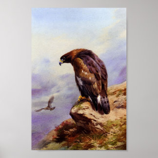 Ein goldener Adler Poster
