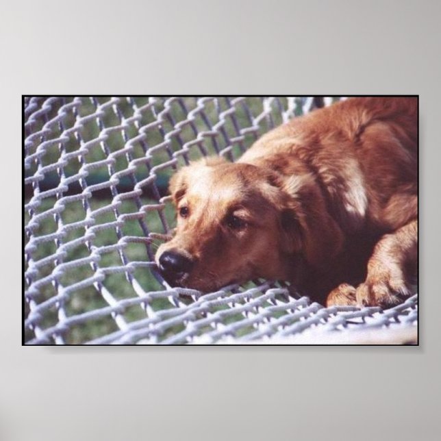 Ein goldener Tag Poster (Vorne)