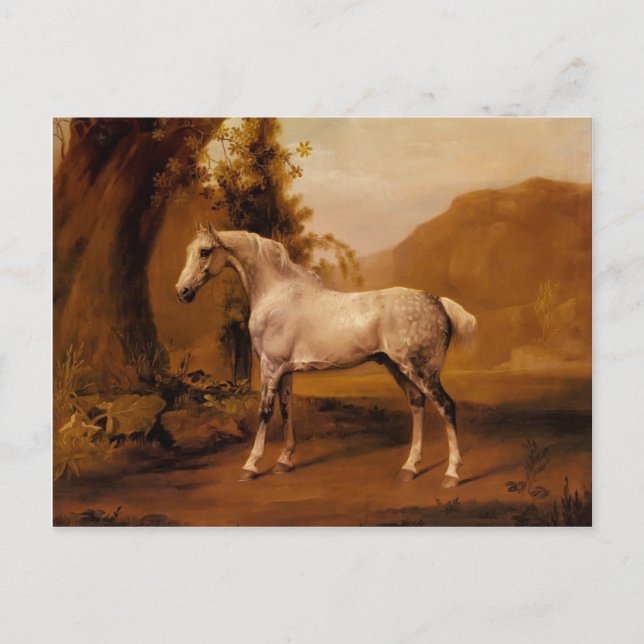 Ein grauer Hengst in einer Landschaft von George S Postkarte (Vorderseite)