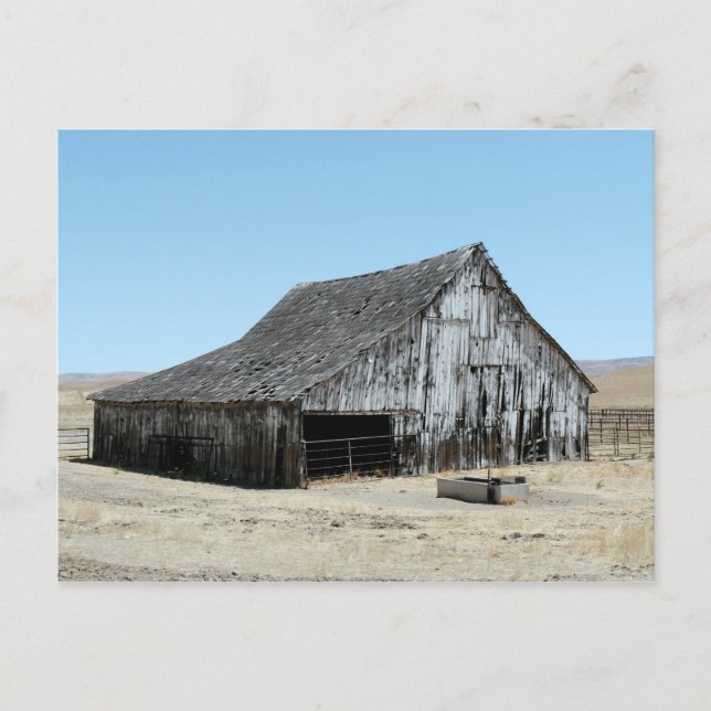 Ein großer alter Stall Postkarte (Vorderseite)
