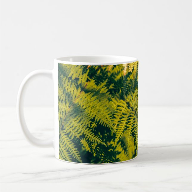 Ein grüner Farn Pflanze Hintergrund mit Schatten.  Kaffeetasse (Links)