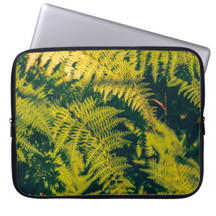 Ein grüner Farn Pflanze Hintergrund mit Schatten. Laptopschutzhülle