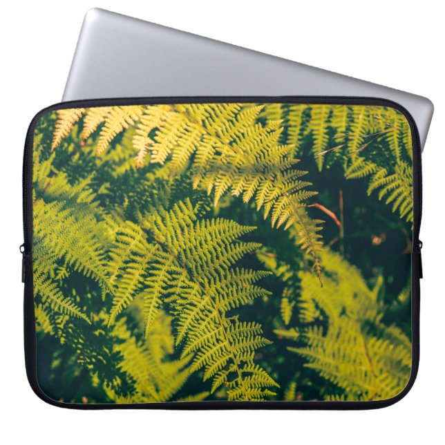Ein grüner Farn Pflanze Hintergrund mit Schatten.  Laptopschutzhülle (Vorderseite)