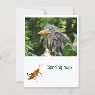 Ein grüner Held Postkarte