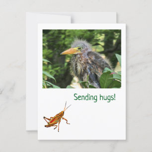 Ein grüner Held Postkarte
