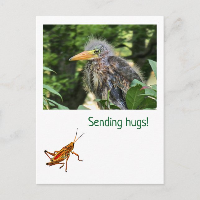 Ein grüner Held Postkarte (Vorderseite)