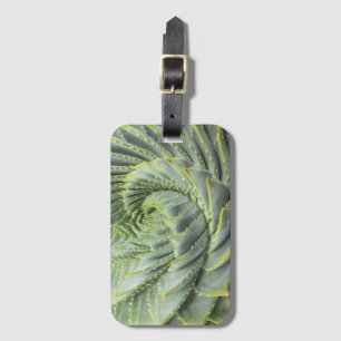 Ein grüner u. weißer Succulent Gepäckanhänger