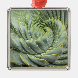 Ein grüner u. weißer Succulent Ornament Aus Metall