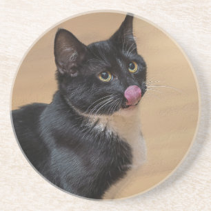 Ein guter Lick painterly Getränkeuntersetzer