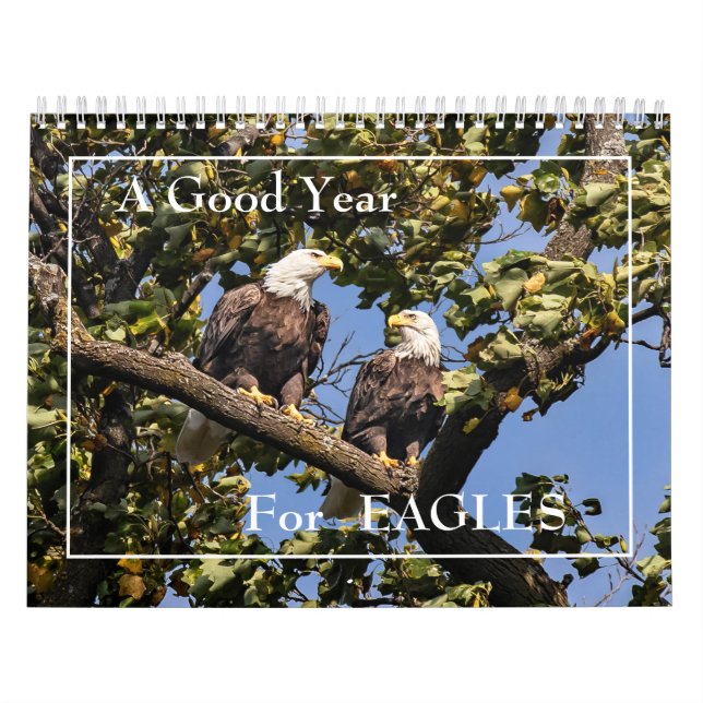 Ein gutes Jahr für den Adlerkalender Kalender (Titelbild)