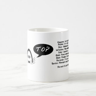 ein Gütesiegel, Pinnepedia- Billigung. Kaffeetasse