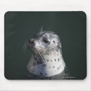 Ein Hafen-Siegel Mousepad