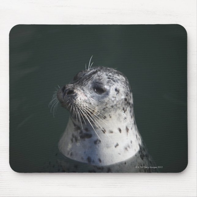Ein Hafen-Siegel Mousepad (Vorne)