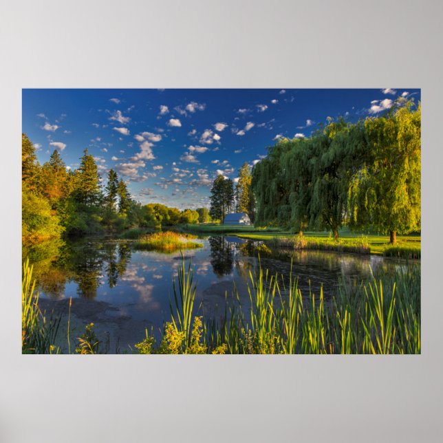 Ein Hang des Flathead fängt morgens Poster (Vorne)
