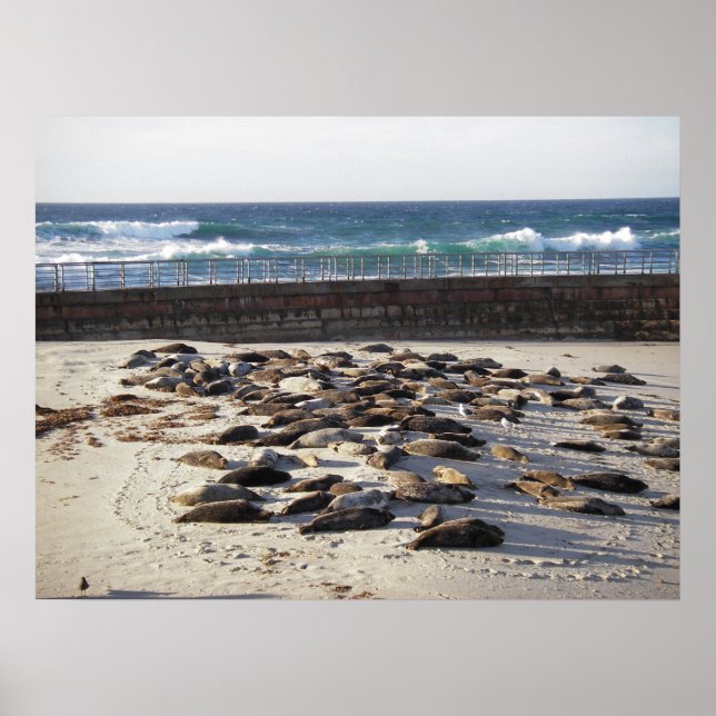 Ein harter Tag im Surfen Poster (Vorne)