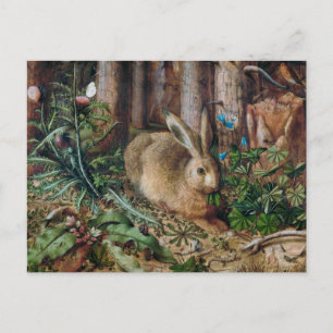 Ein Hase im Wald Postkarte