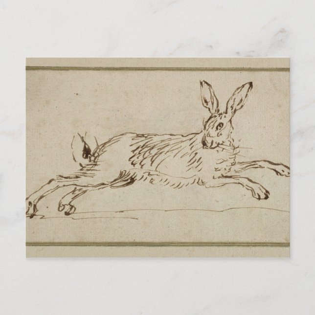 Ein Hase läuft, die Ohren sind gekippt (Pen & Tint Postkarte (Vorderseite)