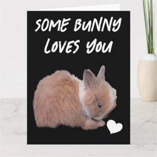 Ein Hase liebt dich Karte