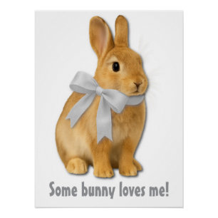 Ein Hase liebt mich! Poster